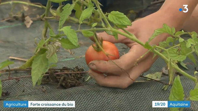 Agriculture – Forte croissance du Bio