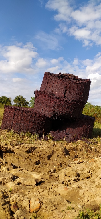 Tour de marc de raisin