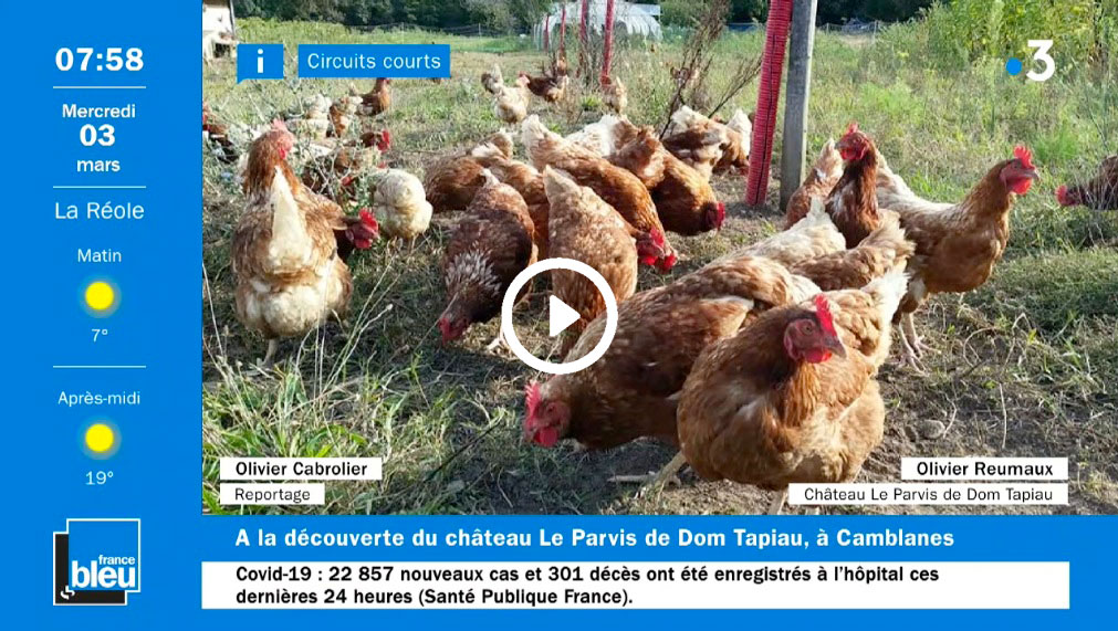 aperçu du reportage sur les poules du chateau le parvis à camblanes et meynac en gironde