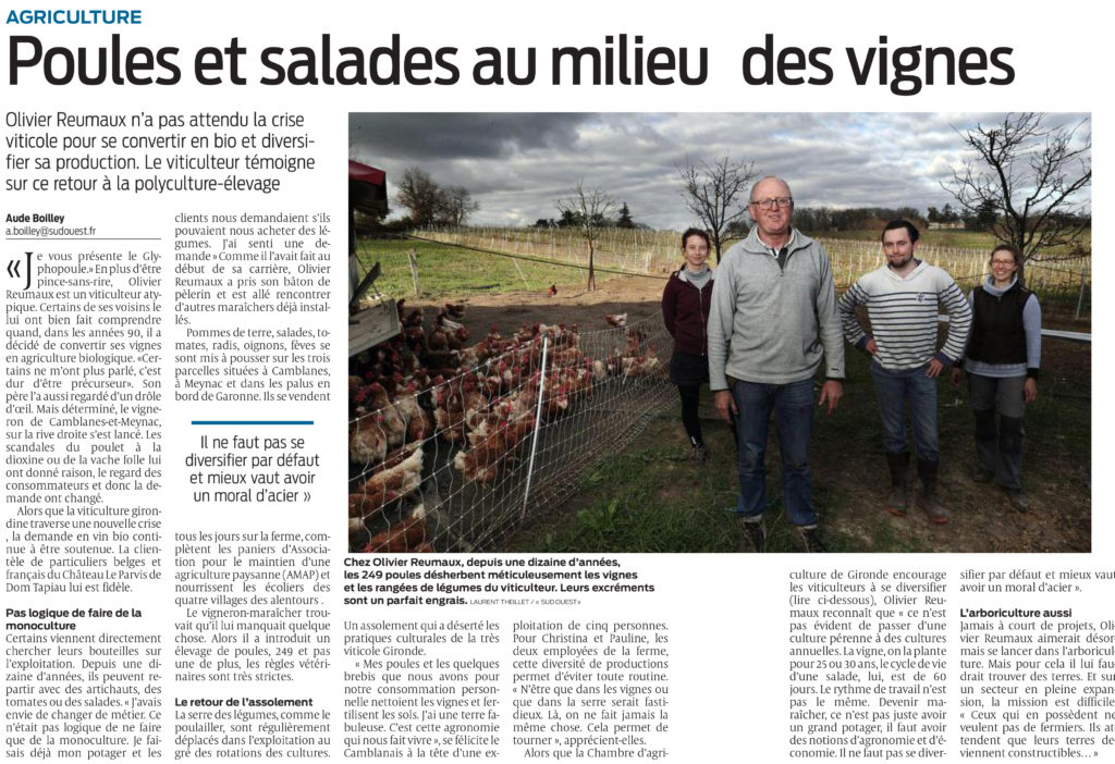 Poules et salades aumilieu des vignes - article Sud Ouest du 21 mars 2021