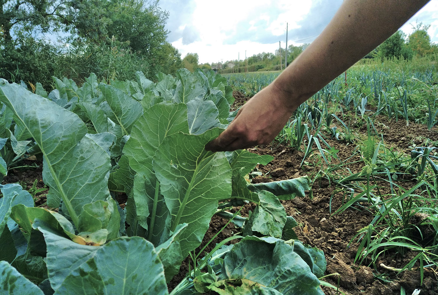 Visite technique commentée