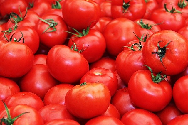 Commande plateau de tomates bio pour conserves
