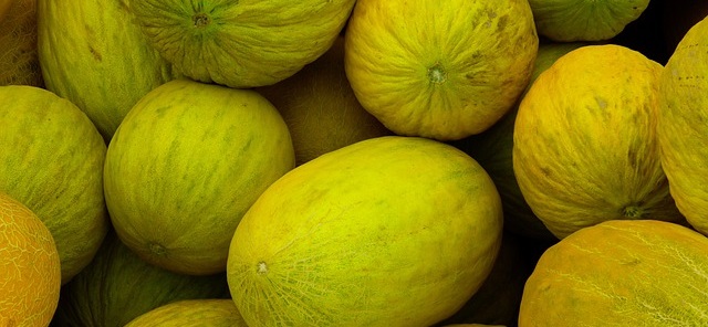 melons jaunes canari