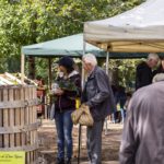 Marché fermier du 15 octobre 2022 au Château le Parvis