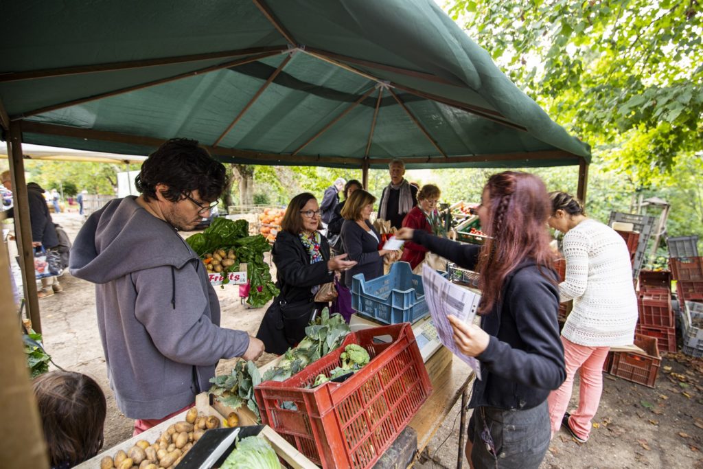 Marché fermier du 15 octobre 2022 au Château le Parvis