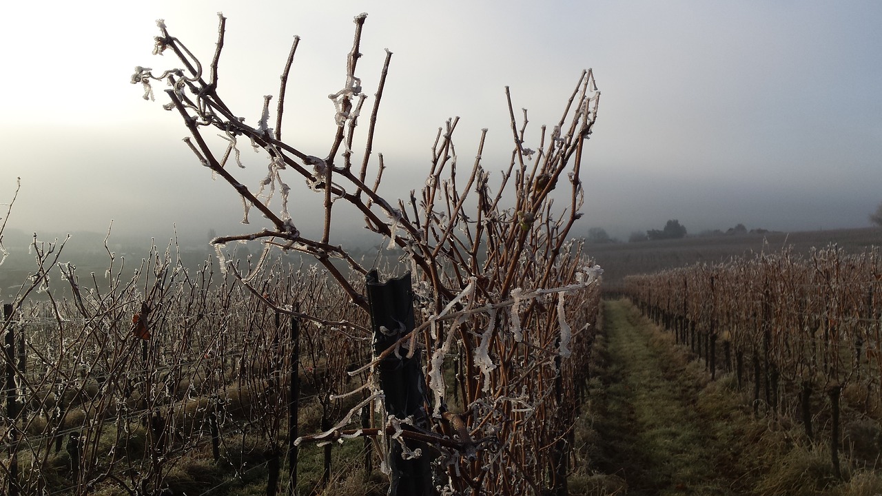 L’hiver au Château