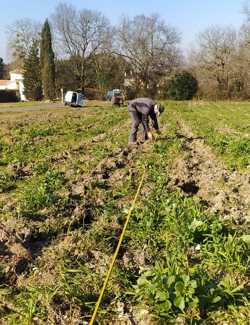 Métrage pour plantation des futurs arbres 