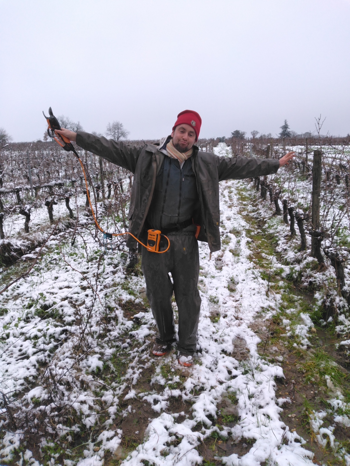 Taille sous la neige