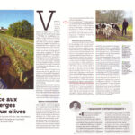 La diversification dans le domaine viticole, article du journal La Vigne