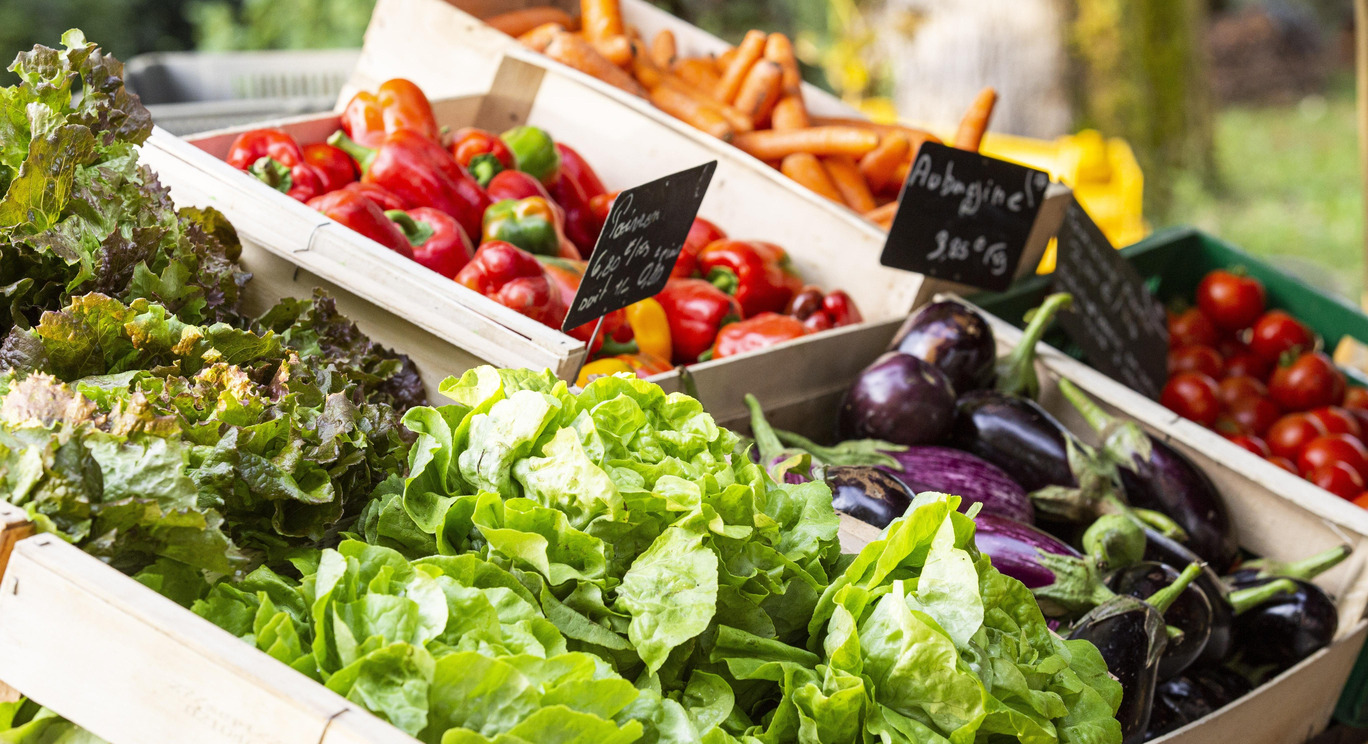 Producteurs présents à notre marché fermier ce samedi 1er juillet