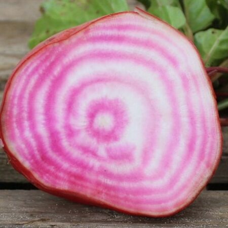 Salade de betteraves Chioggia, carottes et pommes