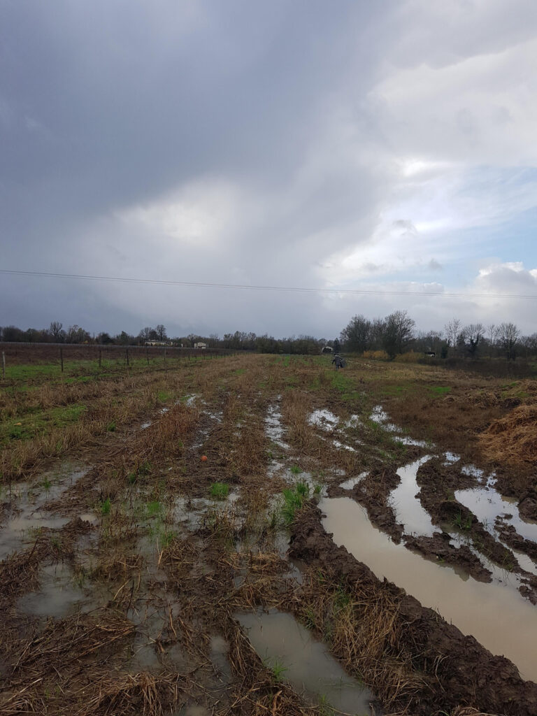 Vue globale des champs à Quinsac - automne 2023