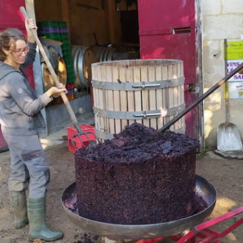Etape n°3 : le rebêchage - on met le marc de raisin dans une autre cage pour le presser une 2ème fois Rebêchage