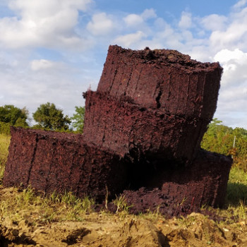 Etape 4 : tour de marc de raisin - une fois pressé et rebêché, Nicolas nous réalise de magnifiques œuvres d'art avec le marc de raisin ;) Tour de marc de raisin