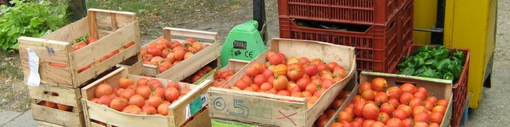 Préparation des paniers AMAP