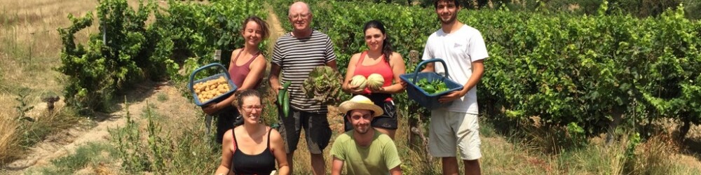 Notre équipe Stagiaires 2020