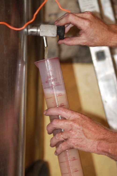Echantillonnage du vin blanc