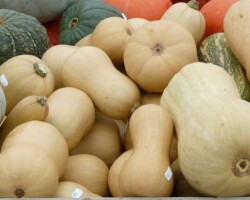 Butternut farcie au poireau
