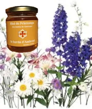 Toutes fleurs (aubépine, pruneliers, merisiers, pissenlits,…). Dominante d’acacia et genêts pour cette année qui lui donne une douce amertume. Miel toutes fleurs de printemps